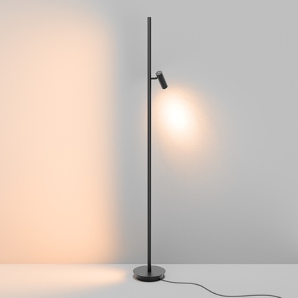 Торшер Maytoni THIN MOD395FL-L28B3K
