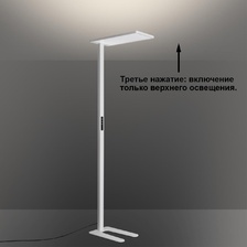 Фото напольные 