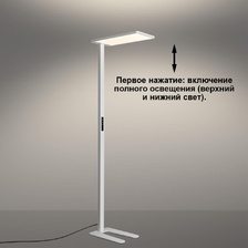 Фото напольные 