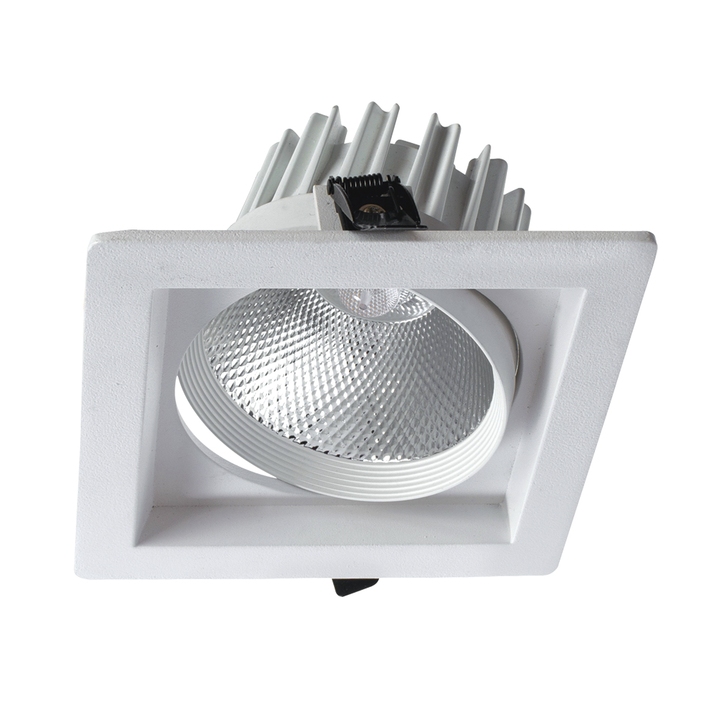 Карданный светильник Arte Lamp PRIVATO A7018PL-1WH фото